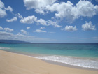 ハワイのビーチと海